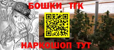 прущие грибы Туймазы