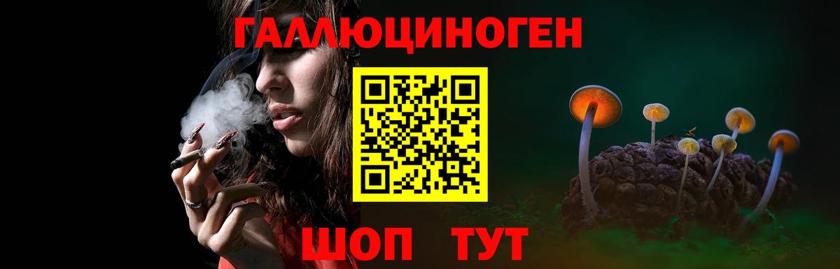 Псилоцибиновые грибы Psilocybe  дарнет шоп  Минеральные Воды  Вход с VPN 